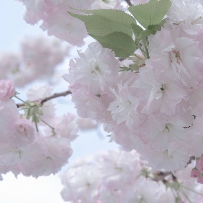 扶沟FurryQQ群介绍